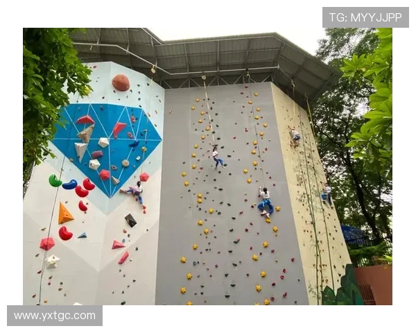 广州攀岩队快攻策略分析与成败经验分享