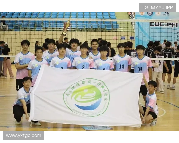 广州排球队在杯赛中的表现分析与状态评估