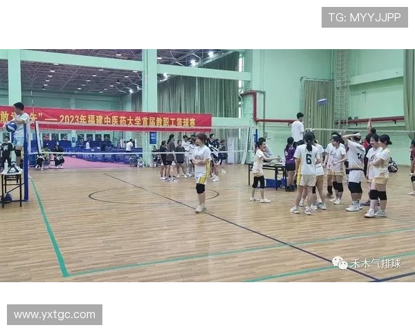 广州排球队的节奏变革引发热议探索新战术与团队协作的未来发展