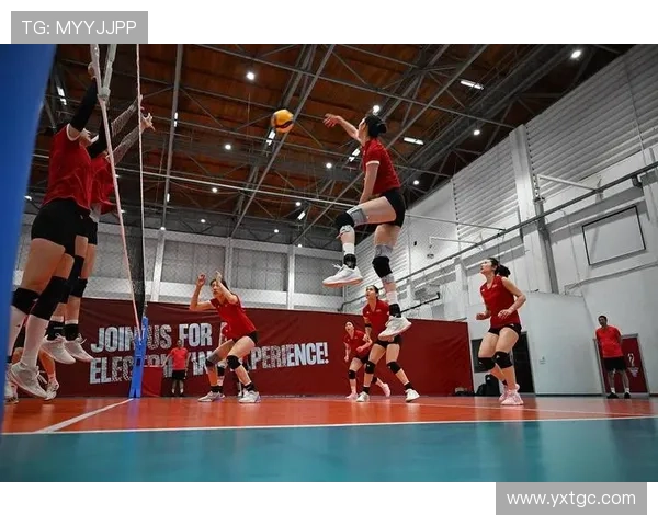 广州排球队技术实力大幅提升排球技术排名创新高引关注
