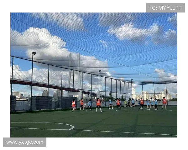 广州飞盘队转换打法深度分析与战术解析全景展示