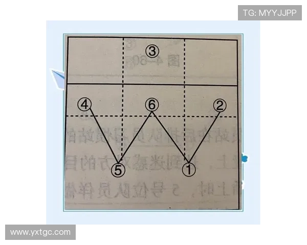 成都排球队进攻体系解析：排球战术的创新与实践探讨